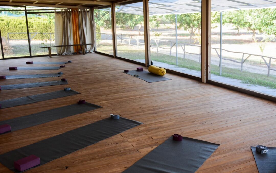 The lotus Room Yoga Retreat
